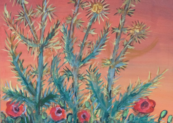 Mustafa Düzgün / Gelincik