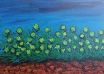 Denizdelen Çiçekleri / Mustafa Düzgün