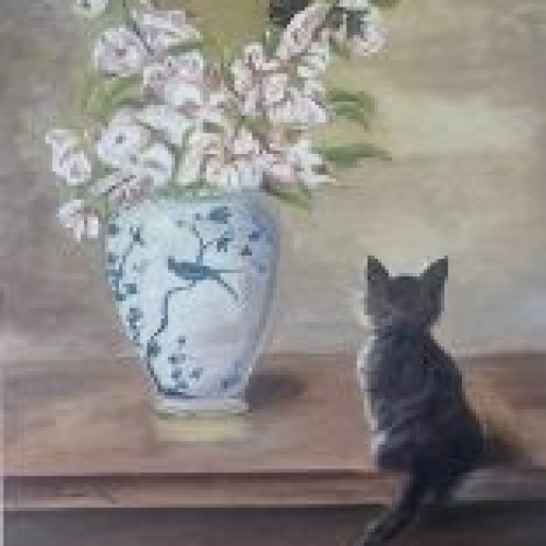 Kedi Seyiri / Emine Duran