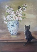 Kedi Seyiri / Emine Duran